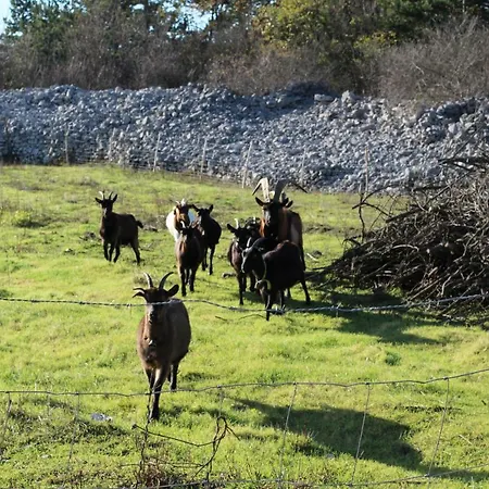 Krasen Kras 3* Komen