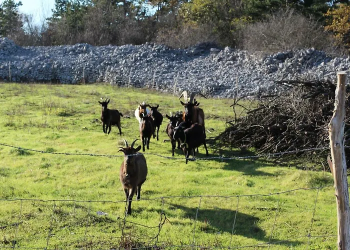 Krasen Kras 3* Komen